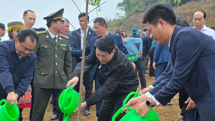 Chủ tịch nước Lương Cường cùng lãnh đạo tỉnh Lào Cai trồng cây lưu niệm tại Công viên Văn hóa Lào Cai.