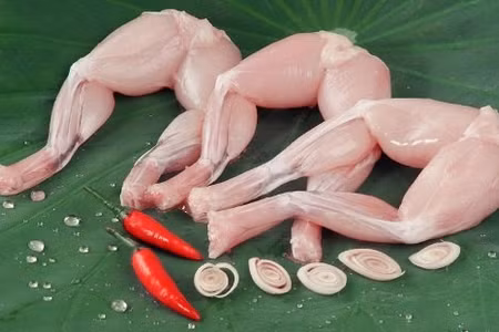 Ăn thịt cóc, 9 em nhỏ nhập viện