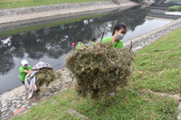 "Anh Tây móc cống" lại tham gia dọn dẹp dòng sông Tô Lịch ảnh 1