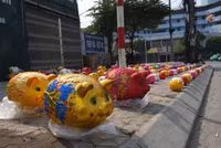 dau nam, dat tre di mua heo dat ve... 