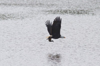 Muc kich man san moi dinh cao cua dai bang hoi - Anh 3