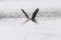 Muc kich man san moi dinh cao cua dai bang hoi - Anh 1