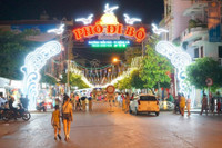 Nhung pho di bo tuyet dep o Viet Nam khien gioi tre thich me - Anh 10