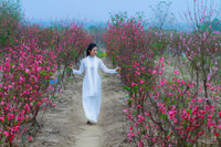 Thieu nu Ha Noi tim ve net tinh khoi xua ben hoa dao - Anh 5