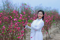 Thieu nu Ha Noi tim ve net tinh khoi xua ben hoa dao - Anh 10