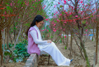 Thieu nu Ha Noi tim ve net tinh khoi xua ben hoa dao - Anh 4