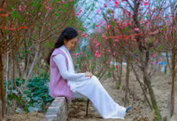 Thieu nu Ha Noi tim ve net tinh khoi xua ben hoa dao - Anh 4