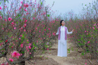 Thieu nu Ha Noi tim ve net tinh khoi xua ben hoa dao - Anh 9