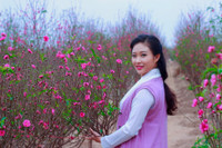 Thieu nu Ha Noi tim ve net tinh khoi xua ben hoa dao - Anh 8