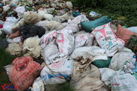 Khốn khổ vì xác lợn ngập tràn ngõ xóm ảnh 8 Khon kho vi xac lon ngap tran ngo xom - Anh 9