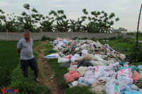 Khốn khổ vì xác lợn ngập tràn ngõ xóm ảnh 9 Khon kho vi xac lon ngap tran ngo xom - Anh 10