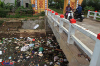 Khốn khổ vì xác lợn ngập tràn ngõ xóm ảnh 10 Khon kho vi xac lon ngap tran ngo xom - Anh 11