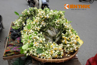 Nong nan hoa buoi ngat huong pho Ha Noi - Anh 8