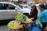 Nong nan hoa buoi ngat huong pho Ha Noi - Anh 5