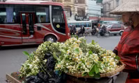 Nong nan hoa buoi ngat huong pho Ha Noi - Anh 11