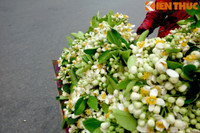 Nong nan hoa buoi ngat huong pho Ha Noi - Anh 7