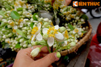 Nong nan hoa buoi ngat huong pho Ha Noi - Anh 6