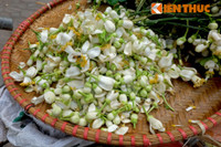 Nong nan hoa buoi ngat huong pho Ha Noi - Anh 10