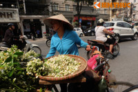 Nong nan hoa buoi ngat huong pho Ha Noi - Anh 14