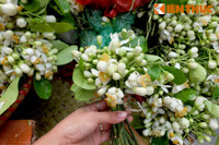 Nong nan hoa buoi ngat huong pho Ha Noi - Anh 9