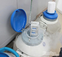 Hé lộ quy trình trữ đông tinh trùng tại bệnh viện không phải ai cũng biết ảnh 11 He lo quy trinh tru dong tinh trung tai benh vien khong phai ai cung biet - Anh 11