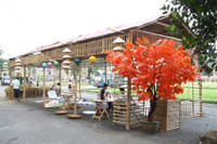 Hau truong le hoi Festival ao dai Ha Noi 2016 - Anh 7