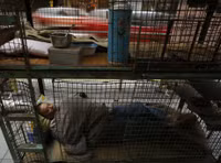 Cuoc song trong nhung can nha sieu nho khap noi tren the gioi - Anh 26