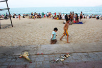 Bãi biển Nha Trang bị rác "tấn công" trong dịp lễ 30/4 ảnh 3 Bai bien Nha Trang bi rac