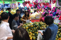 Do xo sam Tet ngay cuoi cung ky nghi le - Anh 6