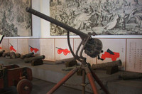 Bộ sưu tập dàn súng quái đản ở thế kỷ 19 ảnh 5