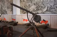 Bộ sưu tập dàn súng quái đản ở thế kỷ 19 ảnh 5