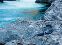 Do ban tim thay co gai ve body painting (3) - Anh 1