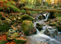 Do ban tim thay co gai ve body painting (3) - Anh 2