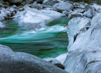 Do ban tim thay co gai ve body painting (3) - Anh 3