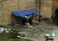 Dan lieu mang du day xuong dap thuy dien Hoa Binh cau ca - Anh 8