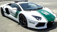 Dàn xe "khủng" của cảnh sát Dubai ảnh 3 Dan