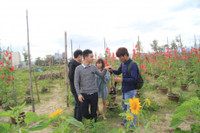 Gioi tre Da Thanh thich thu voi vuon hoa Huong Duong doc dao. - Anh 8