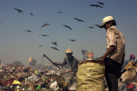 Rui ro nghe boi rac kiem ke sinh nhai o New Delhi - Anh 4