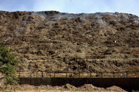 Rui ro nghe boi rac kiem ke sinh nhai o New Delhi - Anh 1