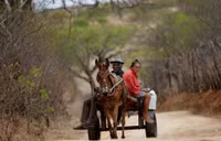 Chum anh ve han han toi te nhat o Brazil - Anh 5