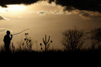 Chum anh ve han han toi te nhat o Brazil - Anh 9