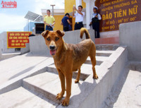 Đảo Tiên Nữ - nơi đón bình minh đầu tiên Việt Nam ảnh 3 Ve dep dao Tien Nu - noi don binh minh dau tien Viet Nam - Anh 3