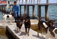 Đảo Tiên Nữ - nơi đón bình minh đầu tiên Việt Nam ảnh 4 Ve dep dao Tien Nu - noi don binh minh dau tien Viet Nam - Anh 4