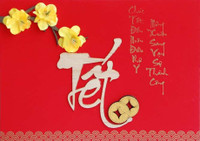 Logo, hinh nen chuc mung nam moi Dinh Dau 2017 dep nhat - Anh 8