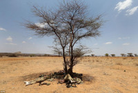 Linh Anh kho luyen giua nang nong 40 do o Kenya - Anh 12