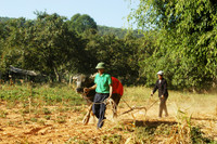 Dân Cát Tiên xuống đồng 