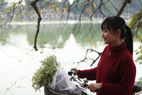 anh: ho guom mua loc vung thay la hinh anh 8