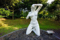 Do mat voi cong vien chua toan canh giuong chieu - Anh 3