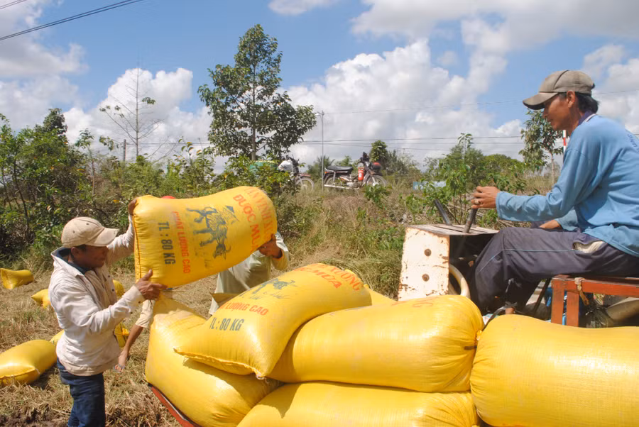Đồng Tháp triển khai đồng bộ các chính sách hỗ trợ và các dự án thuộc Chương trình mục tiêu quốc gia giảm nghèo bền vững. Ảnh minh họa.
