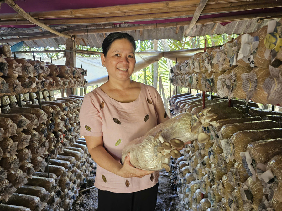 Chị Huỳnh Thanh Thúy bên cạnh trại nấm bào ngư của mình. Ảnh: Bình An